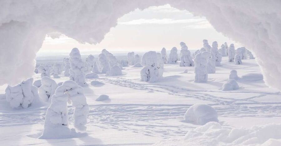 From Rovaniemi: Winter Wonderland Hike with a Hot Drink - The warm-up break: hot drink and cookies that actually help