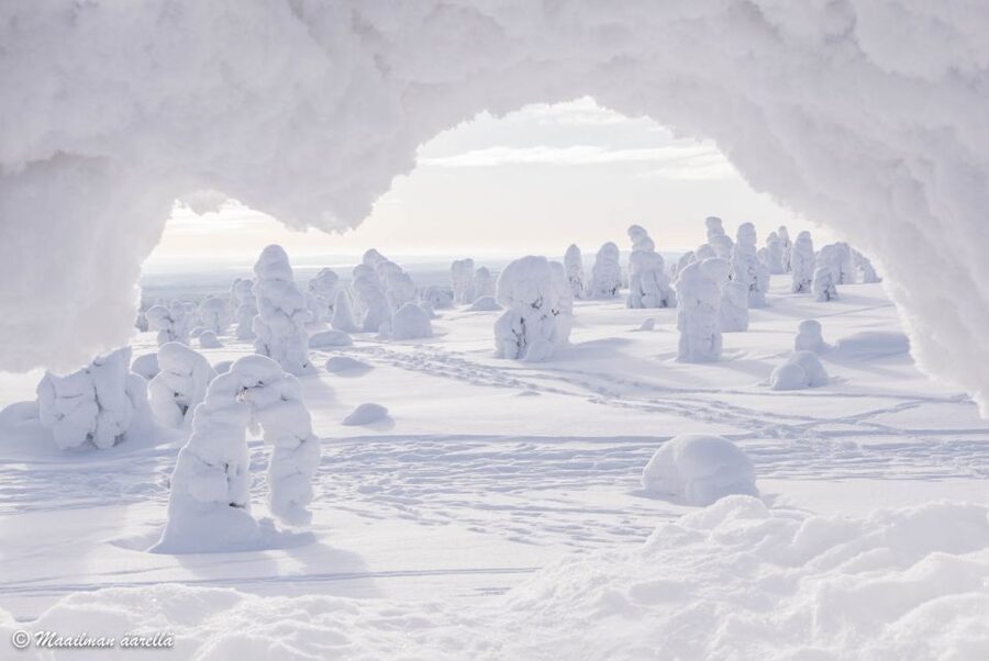 From Rovaniemi: Winter Wonderland Hike with a Hot Drink - Timing and expectations for a 6-hour winter experience