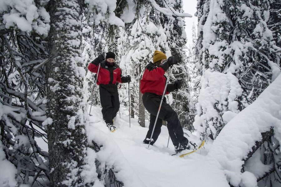 From Ruka: Snowshoeing in Oulanka National Park - Key highlights to look forward to