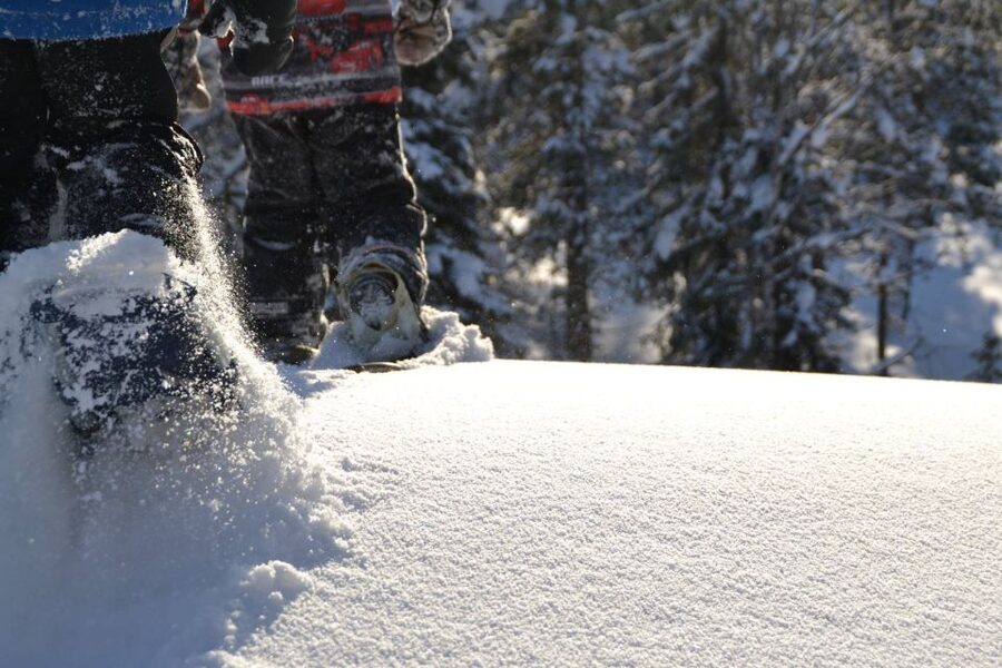 From Ruka: Snowshoeing in Oulanka National Park - Why this Oulanka snowshoe outing feels worth your time