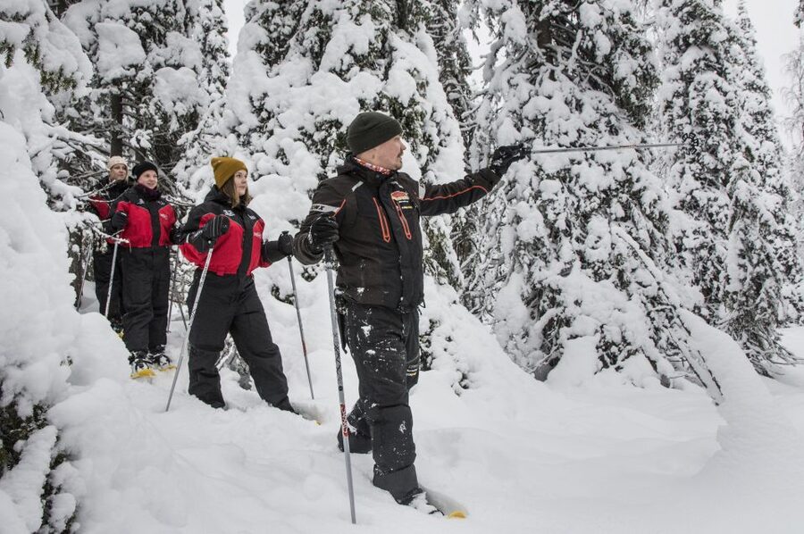 From Ruka: Snowshoeing in Oulanka National Park - Guides, small group energy, and what to expect from the vibe