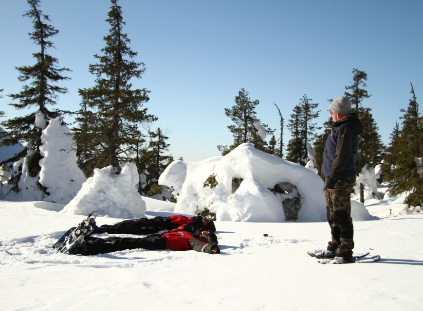 From Ruka: Snowshoeing in Riisitunturi National park - Quick reasons this snowshoe trek is worth your time
