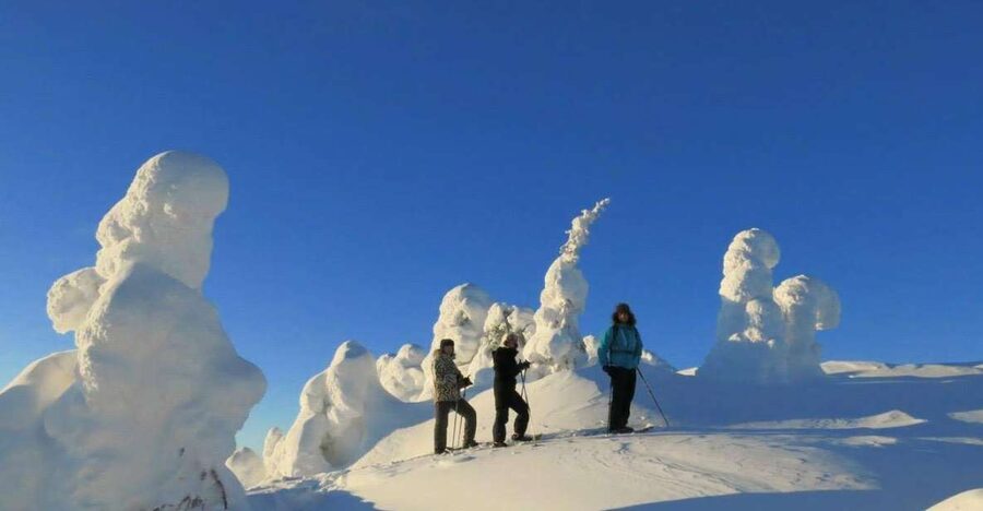 From Ruka: Snowshoeing in Riisitunturi National park - Riisitunturi in winter: snowshoes plus real arctic learning