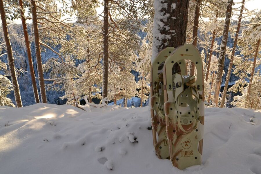 From Ruka: Snowshoeing in Riisitunturi National park - The snowshoe hike itself: from snowy forest to panoramic fell views