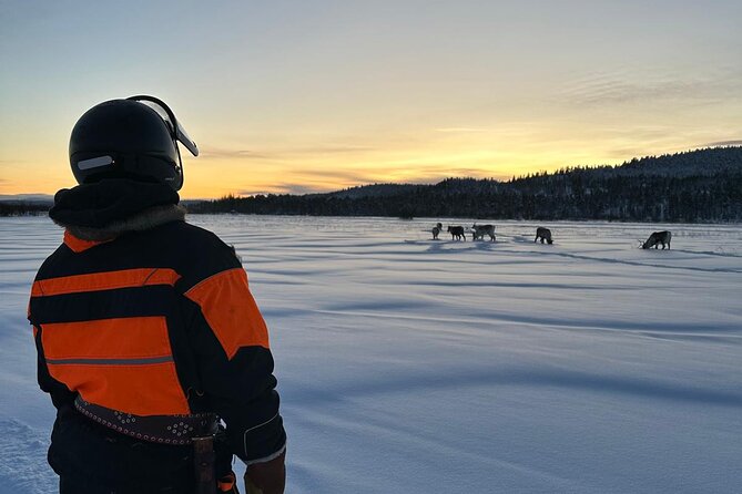 From Saariselkä: Ice Fishing Tour to Lake Inari, reindeers &lunch - Price and Value: What $215.54 Buys You