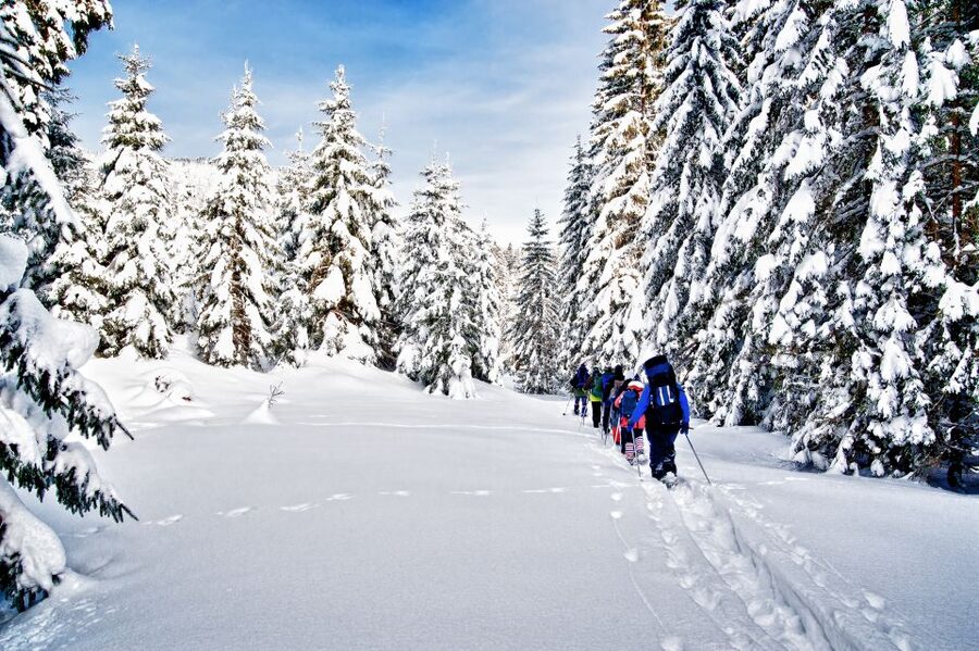 From Sirkka: Levi Summit Guided Nature Snowshoeing Tour - The 2-Hour Rhythm: Pickup, Gear Up, Walk Out, Views, Back