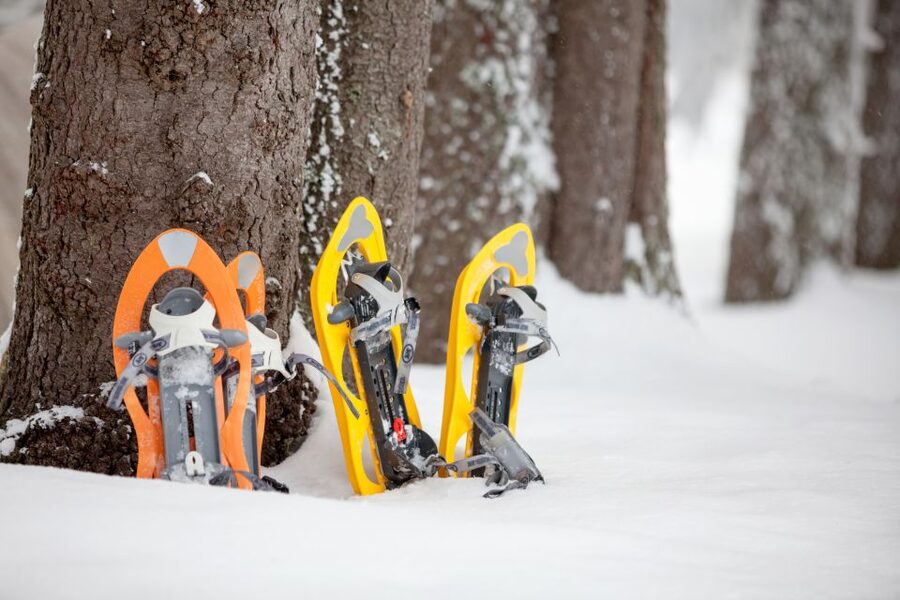 From Sirkka: Levi Summit Guided Nature Snowshoeing Tour - Gear and Overalls: What’s Included, What You Still Need