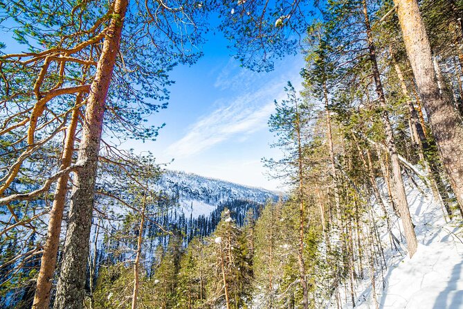 Frozen Waterfalls of Korouoma Canyon tour with Pro Photos & BBQ - Photo-focused stops: what the pro photographer actually adds