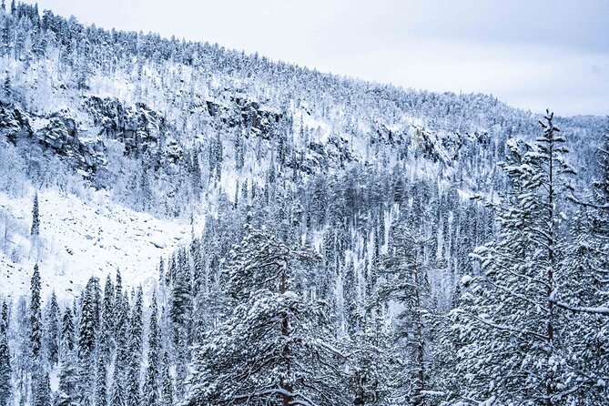 Frozen Waterfalls of Korouoma Canyon tour with Pro Photos & BBQ - The BBQ lunch in the wilderness: warmth, not just food