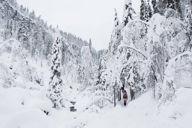 Frozen Waterfalls of Korouoma Canyon tour with Pro Photos & BBQ - Who should book this Korouoma frozen waterfalls tour