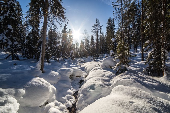 Frozen Waterfalls of Korouoma Canyon tour with Pro Photos & BBQ - Price and value: is $158.39 per person reasonable?