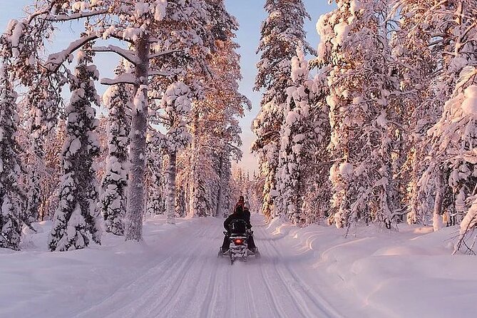 Full Day Snowmobile Safari - Guides, Group Size, and the Service That Makes It Feel Worth It