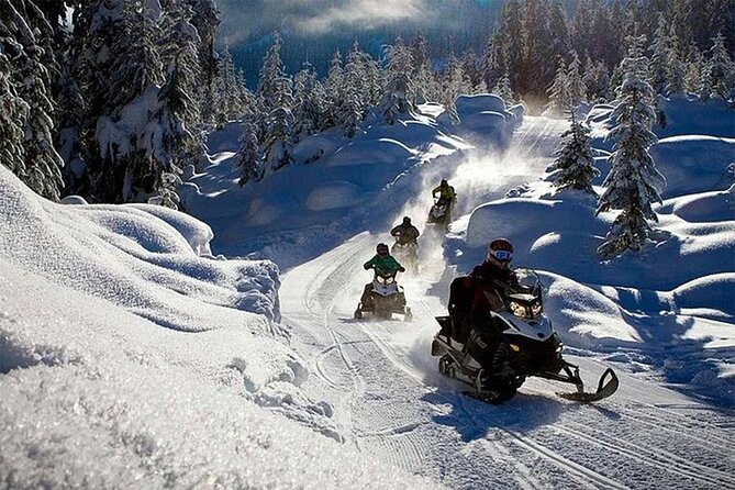 Full Day Snowmobile Safari - Riding Safety and What to Ask Yourself Before You Go