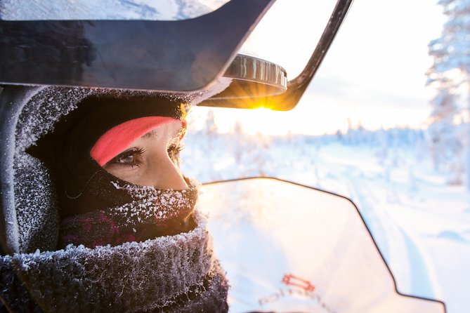 Full Day Snowmobile Safari into the Lappish Wilderness in Rovaniemi - Key Points You’ll Care About