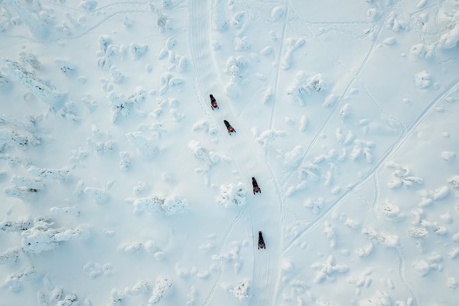 Full Day Snowmobile Safari into the Lappish Wilderness in Rovaniemi - Rovaniemi, Safartica, and Why the Start Matters