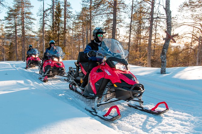 Full Day Snowmobile Safari into the Lappish Wilderness in Rovaniemi - What the Stops and Open Space Feel Like