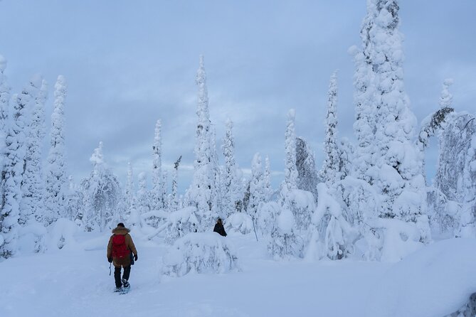 Full-Day Snowshoeing Adventure in Amethyst Mine Pyhä Luosto - Fells and horizon views, the payoff for hours of stepping through snow