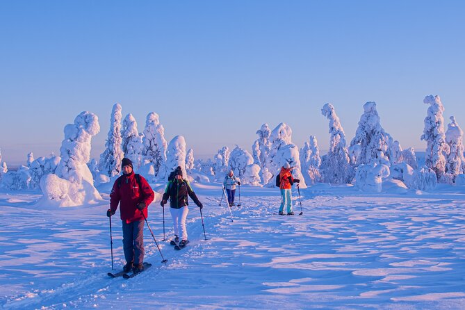 Full-Day Snowshoeing Adventure in Amethyst Mine Pyhä Luosto - Price and value: what $250.17 buys you in a full-day, small-group format
