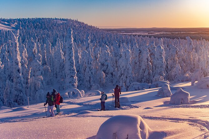 Full-Day Snowshoeing Adventure in Amethyst Mine Pyhä Luosto - Guides matter: friendly, adaptive guidance makes a big difference in snow