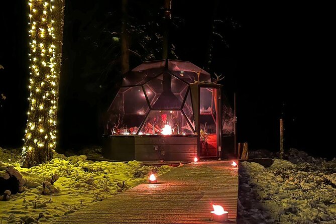 Glass Igloo Campfire Dinner under Northern Lights - Price, Value, and Who This Tour Makes Sense For