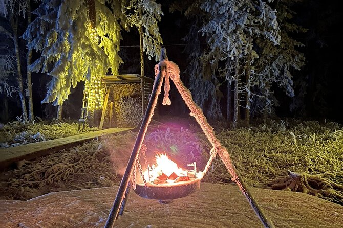 Glass Igloo Campfire Dinner under Northern Lights - Guides, Atmosphere, and the Small Things That Affect Your Night
