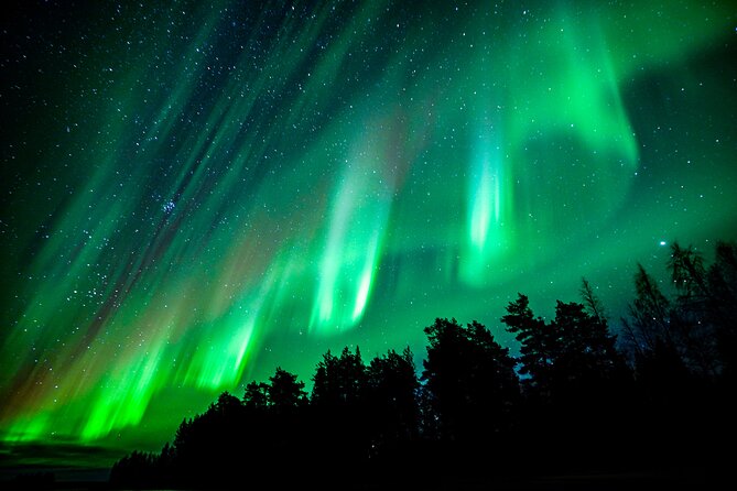 Guaranteed Northern Lights Hunting Adventure in Lapland - Several Stops Over 7 Hours, Plus Hot Drinks to Keep You Going