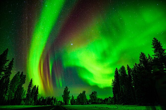 Guaranteed Northern Lights Hunting Adventure in Lapland - The Small Group Size: Up to 8 People for a More Manageable Hunt