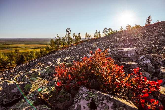 Guided easy hike in Finland deepest gorge in Pyhä-Luosto National Park - Starting in Luosto, Then Building Toward the Park