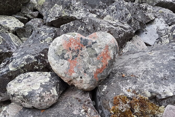 Guided easy hike in Finland deepest gorge in Pyhä-Luosto National Park - Guide Quality and Small-Group Comfort