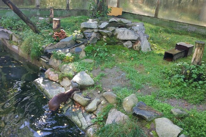Guided Ranua Wildlife Park tour with Lunch, Small group adventure - The guide makes it: what you get from Tania, Alex, and the rest of the team