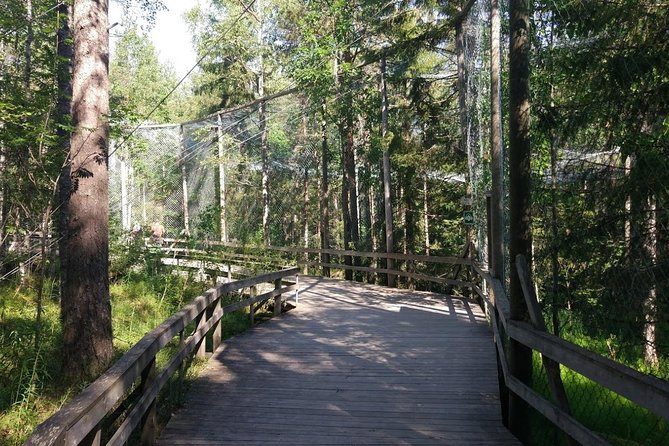 Guided Ranua Wildlife Park tour with Lunch, Small group adventure - Arctic forest + winter optics: how to plan your photos and your patience
