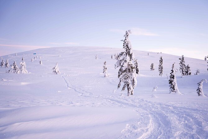 Half-Day Backcountry Skiing Tour in Levi with Photography Guide - Group Dynamics: Up to 8 People, So the Guide Can Actually Guide