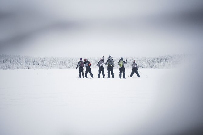 Half-Day Backcountry Skiing Tour in Levi with Photography Guide - Learning the Basics on Real Snow: Skis, Poles, and Balance