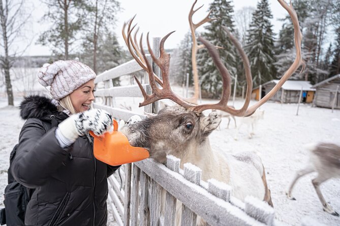 Half-Day Experience in Local reindeer farm in Lapland - The Photography Advantage, Edited Photos, and How You Get Them