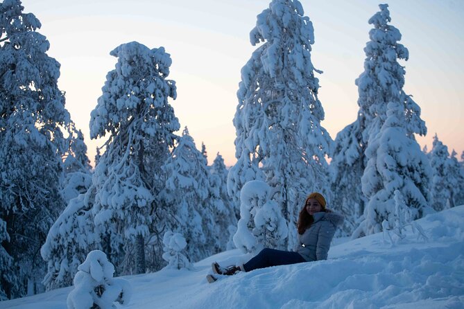 Half Day Guided Tour in the Wilderness of Levi - Who Should Book This Wilderness Tour, and Who Might Skip It?