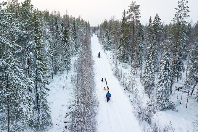 Half-Day Husky Safari and Salmon Ice Fishing Experience - The Kota Snack, Salmon Soup, and Stories With José