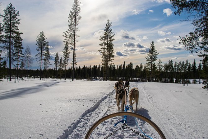 Half-Day Husky Safari and Salmon Ice Fishing Experience - Price and Value: What $264.91 Buys You (And What It Doesn’t)