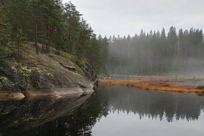 Half-Day Nature Adventure to Nuuksio National Park from Helsinki - Why Nuuksio feels like a real nature reset from Helsinki