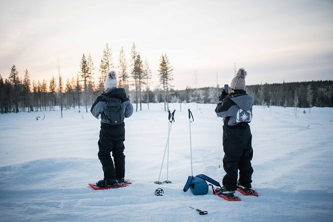 Half Day Snowshoe Hiking Adventure in Levi Lapland - Key points to know before you lace up