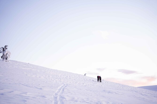 Half Day Snowshoe Hiking Adventure in Levi Lapland - The Arctic forest hike: what you do, how it feels, and what to watch for