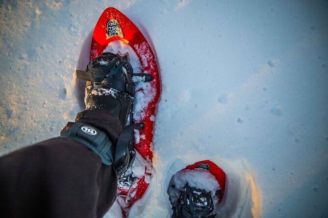 Half Day Snowshoe Hiking Adventure in Levi Lapland - Fire and snacks: the best kind of winter pause