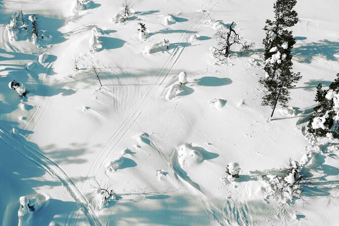 Half Day Snowshoe Hiking Adventure in Levi Lapland - The photo collection: a real value add, not just a souvenir