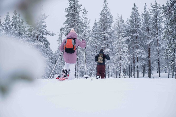 Half Day Snowshoe Hiking Adventure in Levi Lapland - Who should book this Levi snowshoe adventure