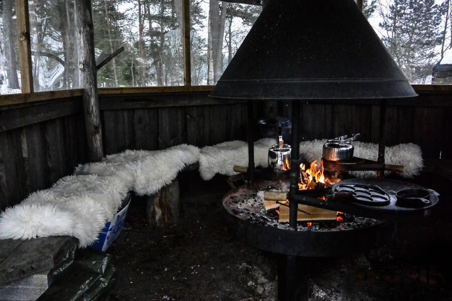 Helsinki: Arctic Ice Experience with Lunch - The Guided Nature Walk: Summer Cottages, Saunas, and Quiet History Lessons