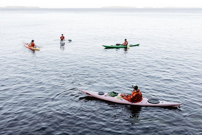 Helsinki by Kayak - Stop at Harbonkatu 13: Brief, Direct, and Built for a Loop