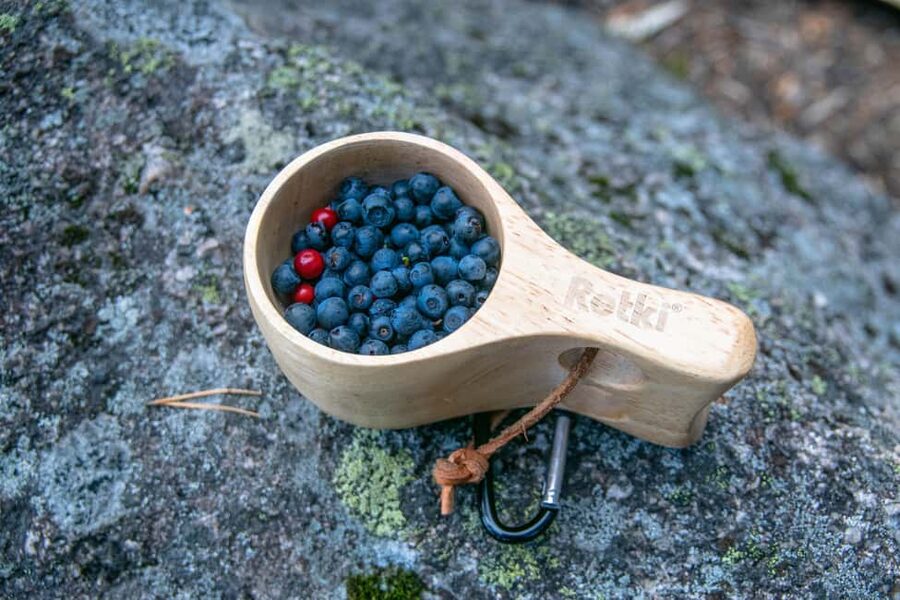Helsinki: Nuuksio National park hiking with campfire lunch - Quick Notes on Timing and Weather