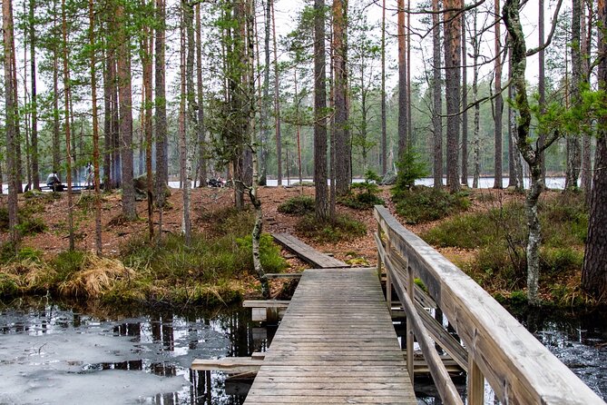 Helsinki: Nuuksio National park hiking with campfire lunch - What You’ll Do Step by Step