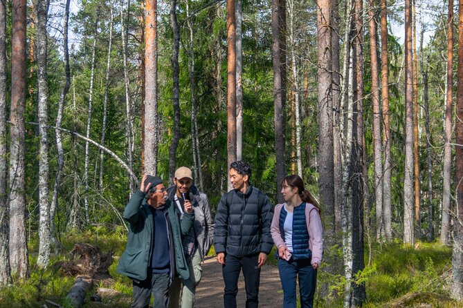 Helsinki: Nuuksio National park hiking with campfire lunch - Campfire Lunch: Finnish Comfort Food With a Real Backstory
