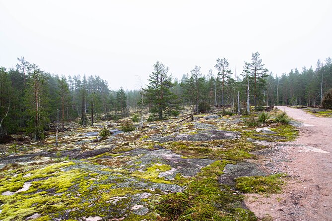 Helsinki: Nuuksio National park hiking with campfire lunch - Where This Tour Offers Best Value for $141