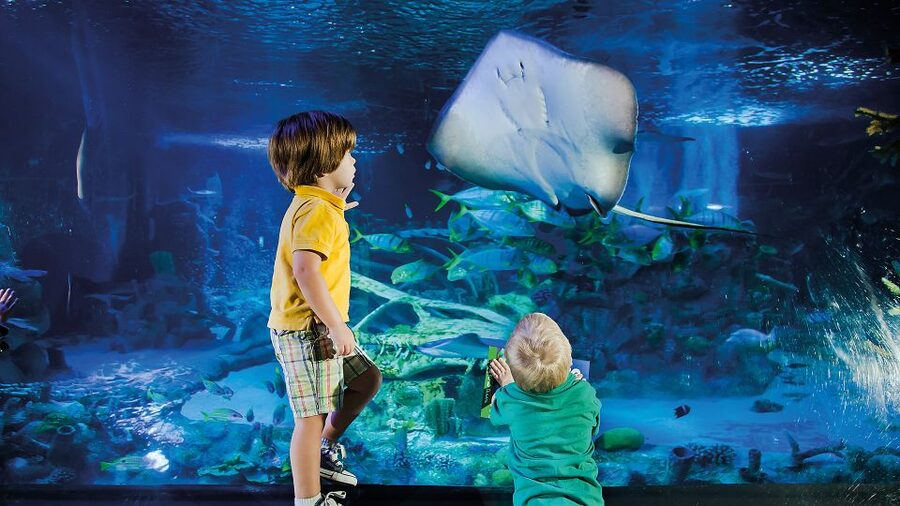Helsinki: Sea Life Entrance Tickets - Key things to know before you go